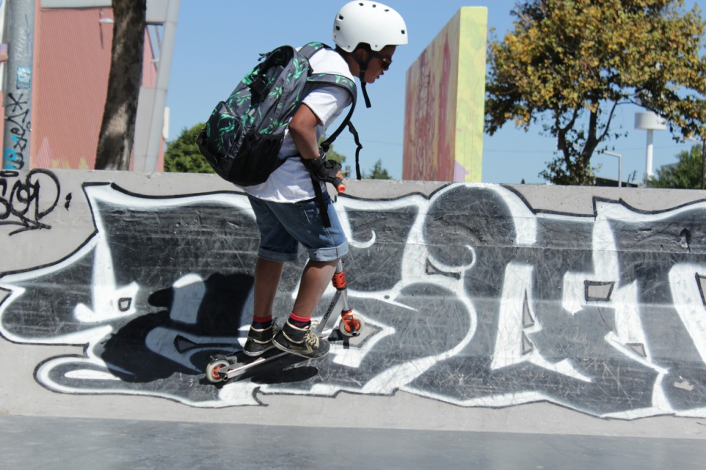 skate parc12