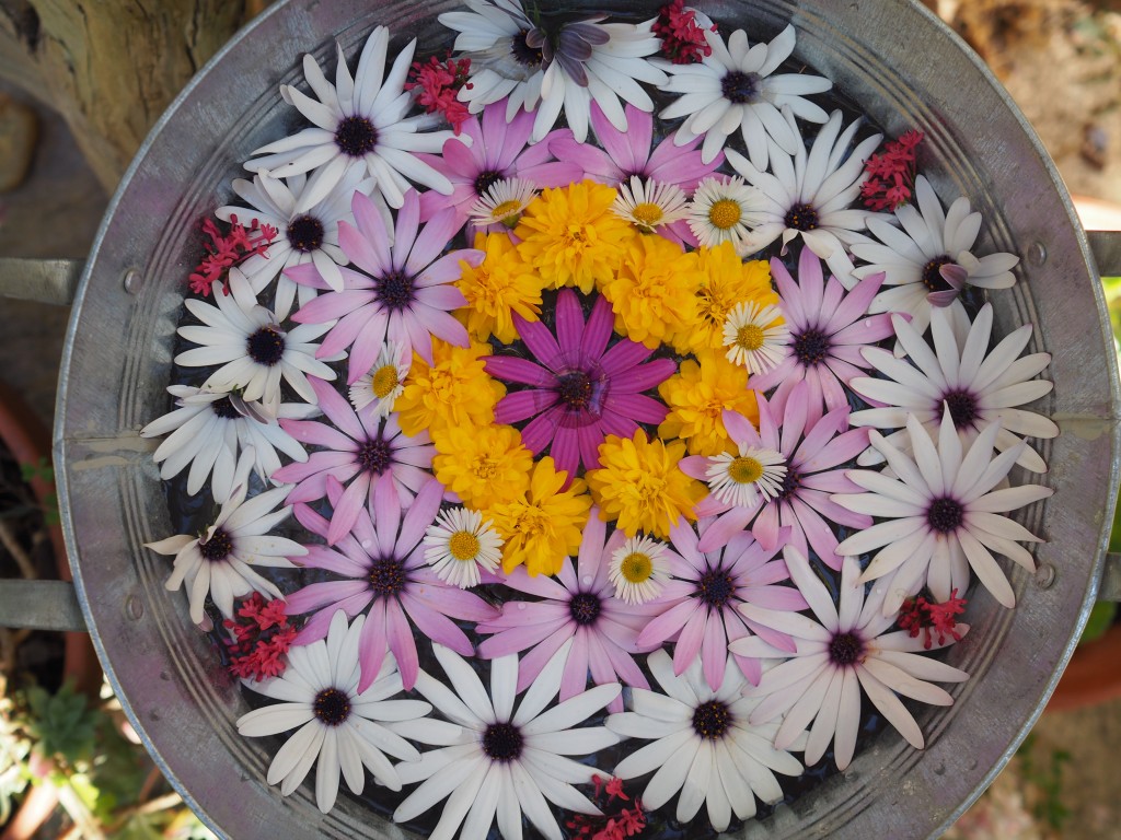 mandala-fleur