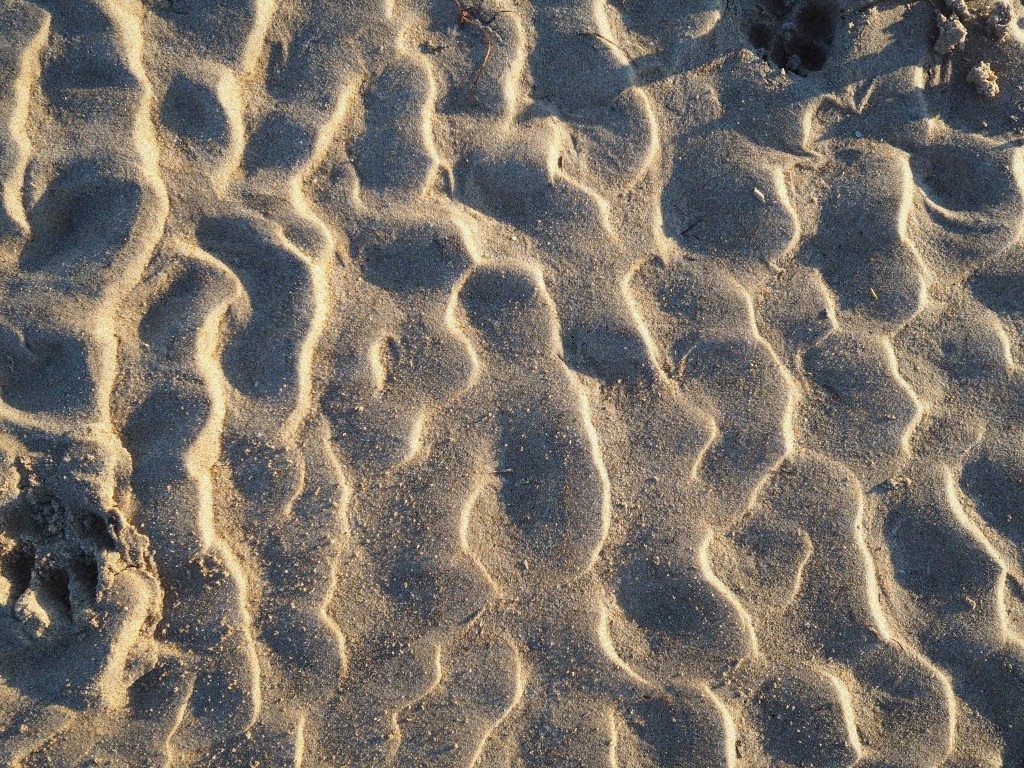 la tranche sur mer