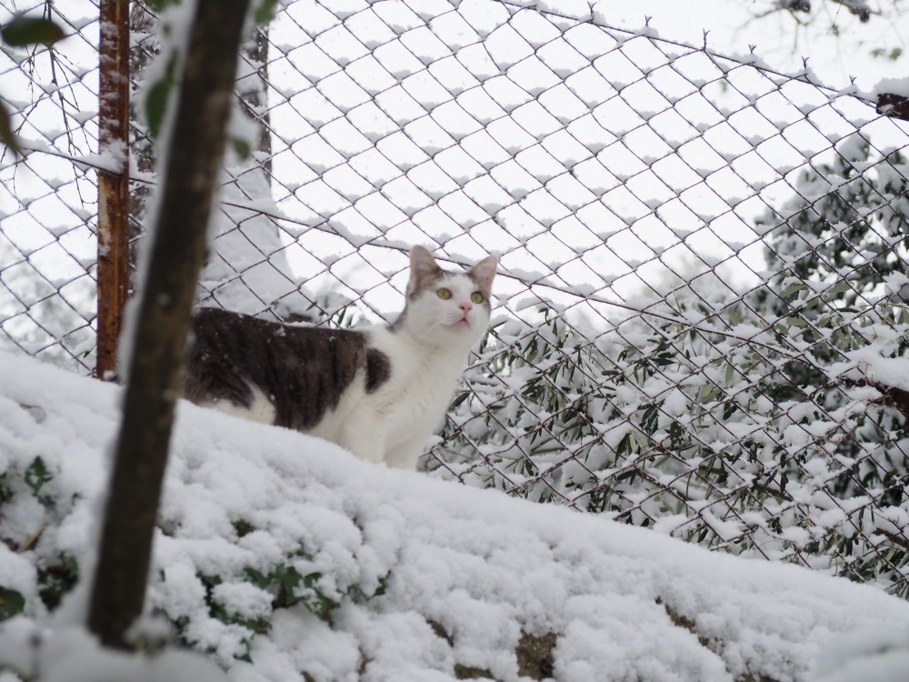 neige nimes